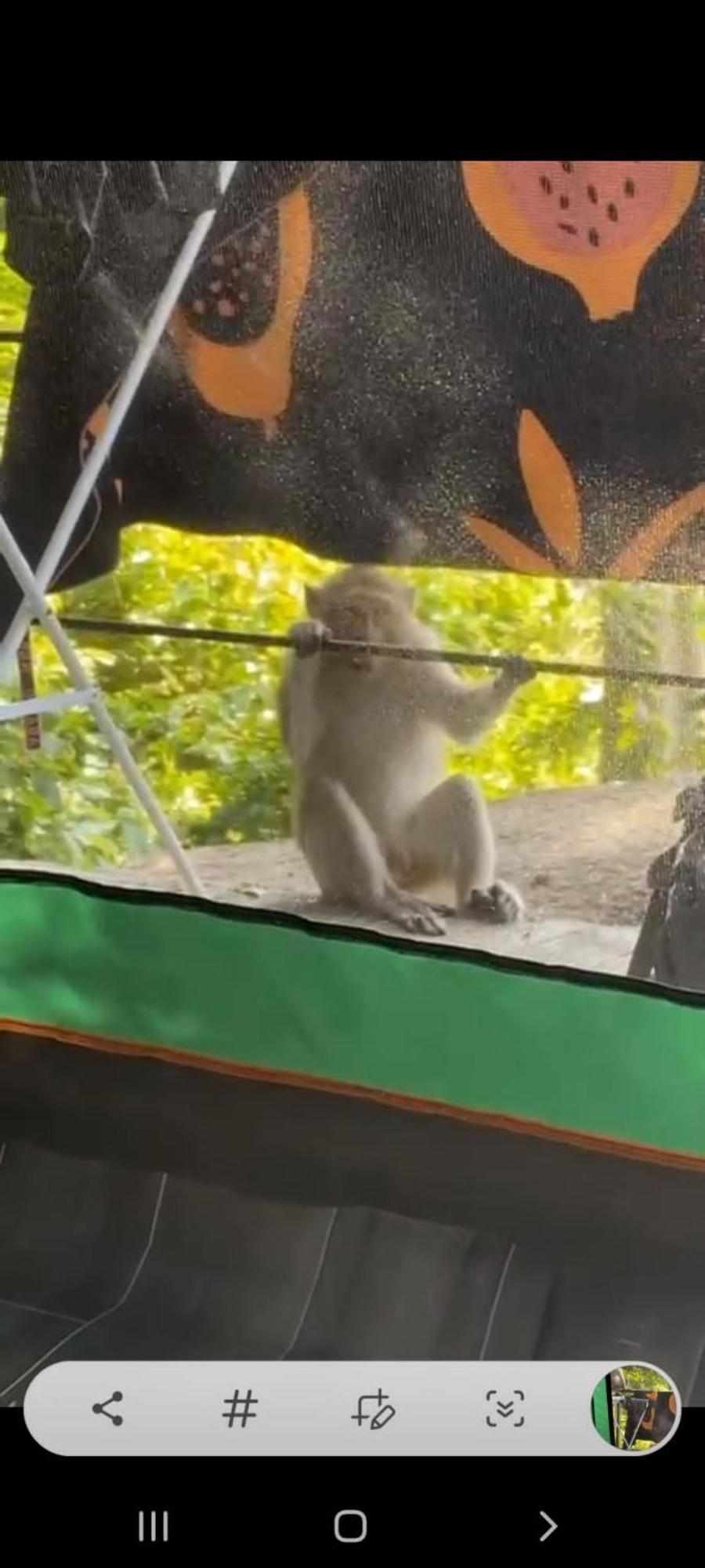 Joy Camping Haad Rin Exteriör bild